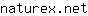 n***t