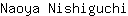 N***i