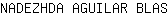 N***S