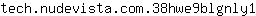 t***1