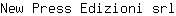 N***l