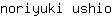 n***o