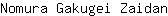 N***n