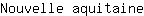N***e