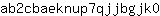 a***0