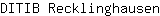 D***n