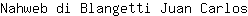 N***s