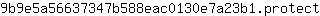 9***t