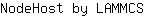 N***S