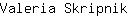 V***k