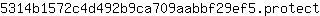 5***t