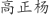 高***杨