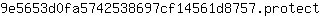 9***t