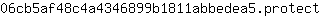 0***t