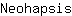N***s