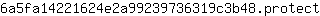 6***t