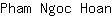 P***n
