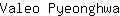 V***a