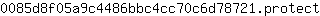0***t