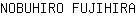 N***A