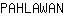P***N