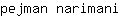 p***i