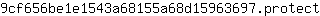 9***t