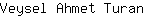 V***n
