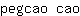 p***o