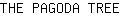 T***E