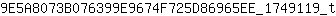 9***t