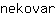 n***r