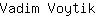 V***k