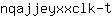 n***t