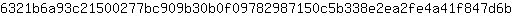 6***b