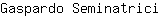 G***i