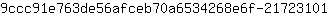 9***1