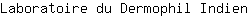 L***n