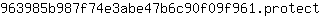 9***t