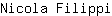N***i