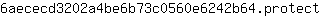 6***t