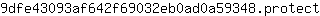 9***t