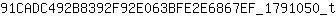 9***t