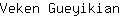 V***n