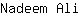 N***i