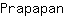 P***n