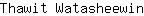T***n