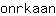 o***n