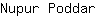 N***r
