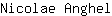 N***l